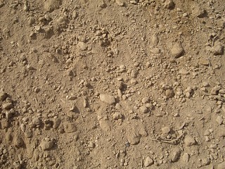 Unscreened Topsoil